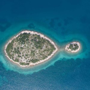 Fish Island