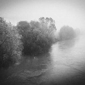 Sava